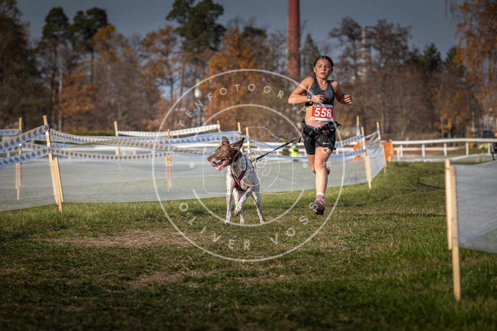 CaniXpix_0L8A9189 | Hundefotografie, Tierfotograf, Pfotenfotografie, Fotoshooting Hund, Hunde Portrait, Hundesport, Hundeportraits, Heideshooting, Hunde, Sportfotograf, Hundefotograf, Turnierhundsport, THS,  - Realisiert mit Pictrs.com