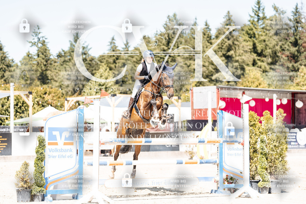 CK900381 | Turnierfotografie Pferdefotografie Trier Rheinland-Pfalz Pferdesport Reitsport Tierfotografie Sportfotografie Pferdevideo Pferdevideografie Equestrianvideography equestrianphotography  - Realisiert mit Pictrs.com