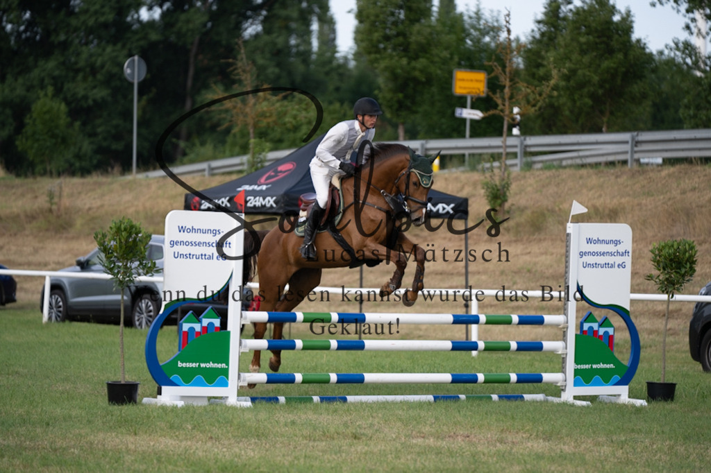 A7V01238 | Pferdefotograf