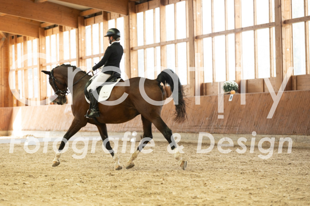 IMG_2623 | Creatify Fotografie