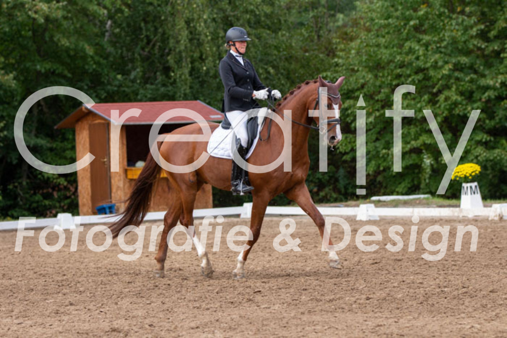 IMG_5021 | Creatify Fotografie