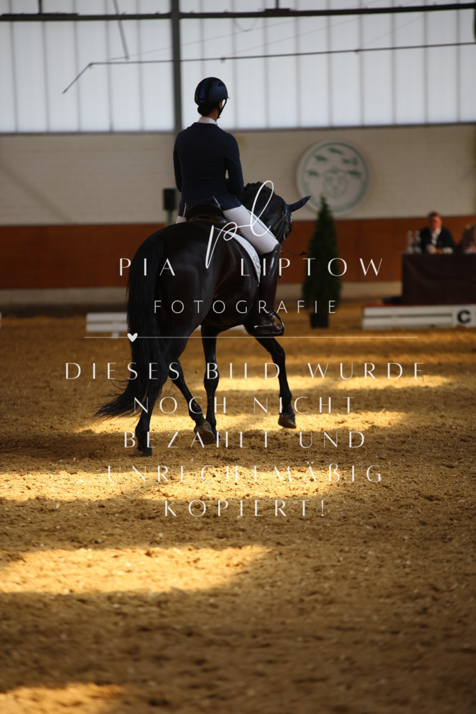 IMGT8608 | pl-fotografie