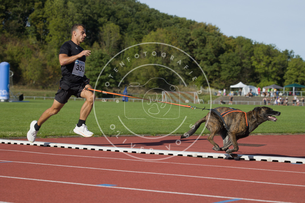 0L8A0042 | Hundefotografie, Tierfotograf, Pfotenfotografie, Fotoshooting Hund, Hunde Portrait, Hundesport, Hundeportraits, Heideshooting, Hunde, Sportfotograf, Hundefotograf, Turnierhundsport, THS,  - Realisiert mit Pictrs.com