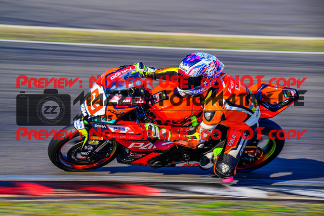 MaZZes_FotoMatrix_240901_6021986_0832 | SSP300