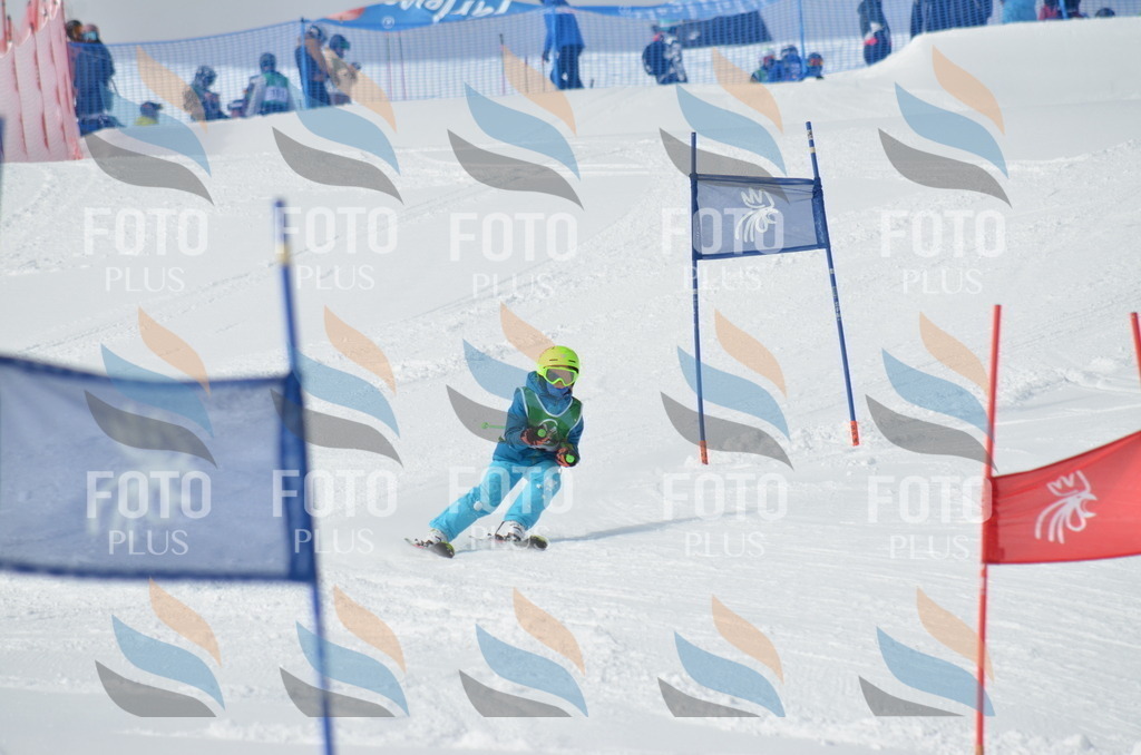 D8627 | holidayphoto