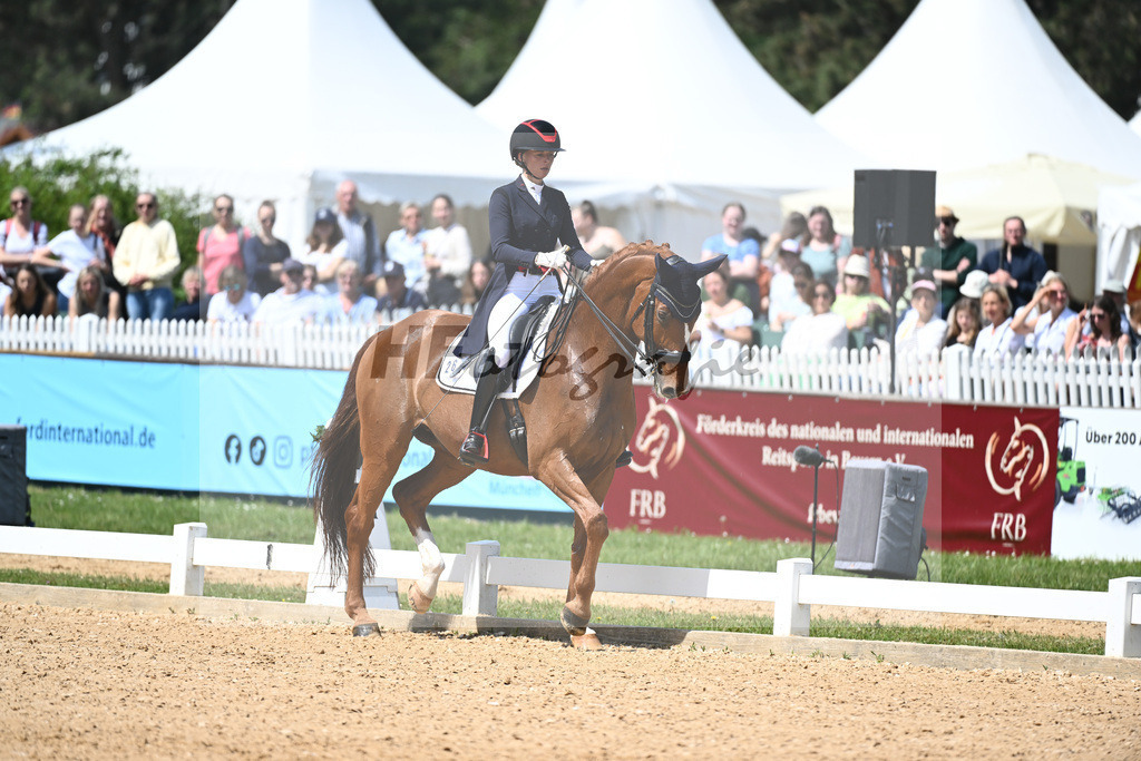 Baer_Superstar_12243716 | hf-fotografie - Realisiert mit Pictrs.com