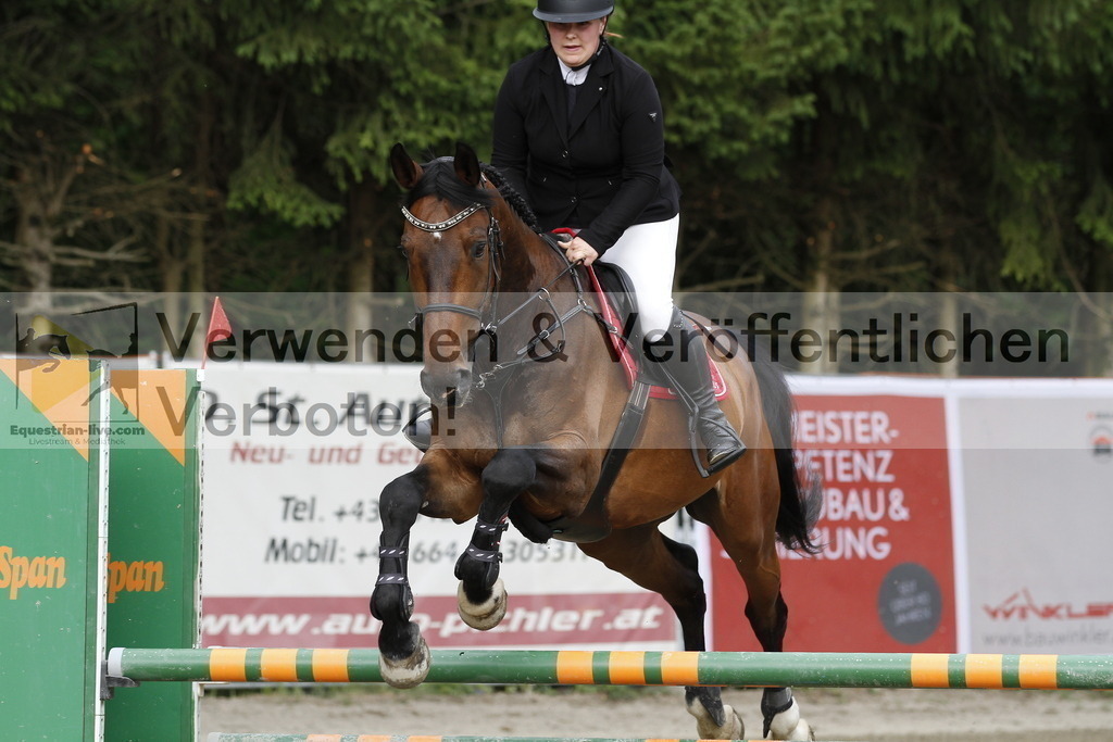 _MG_8923 | equestrian-live-com
