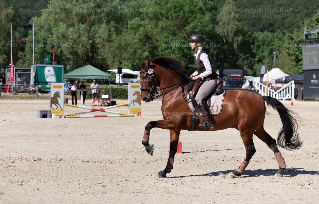 WL_Speed_106_KerstinBernhardt-14 | working equitationturnier fotograf videograf stoibphotography marixx film working equitation deutschland reitsport turnierfotografie eventfotografie equestrian events
