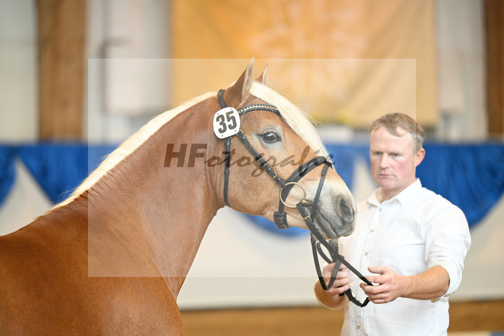 Kat-Nr. 35 Whisky Coke v. Wyno_Mayer_60220892 | hf-fotografie - Realisiert mit Pictrs.com