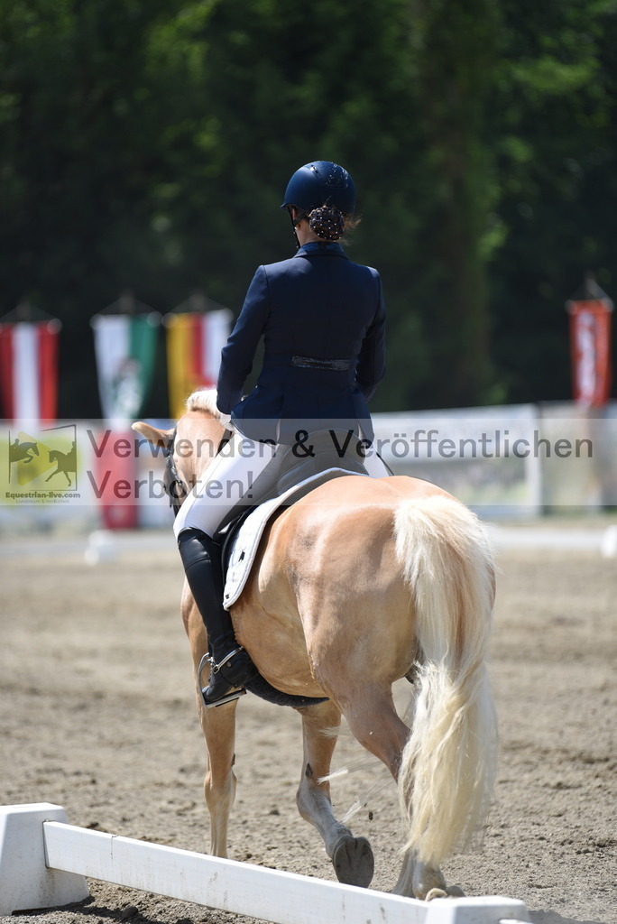 DSC_1018 | equestrian-live-com