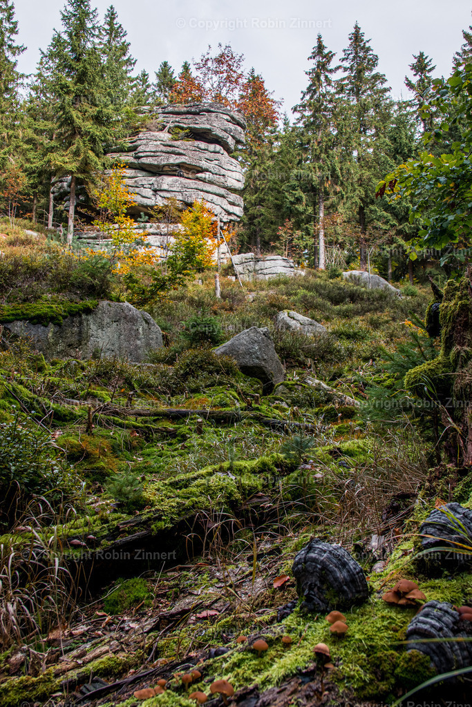 Ahornfels-9 | Robin Zinnert - Realisiert mit Pictrs.com