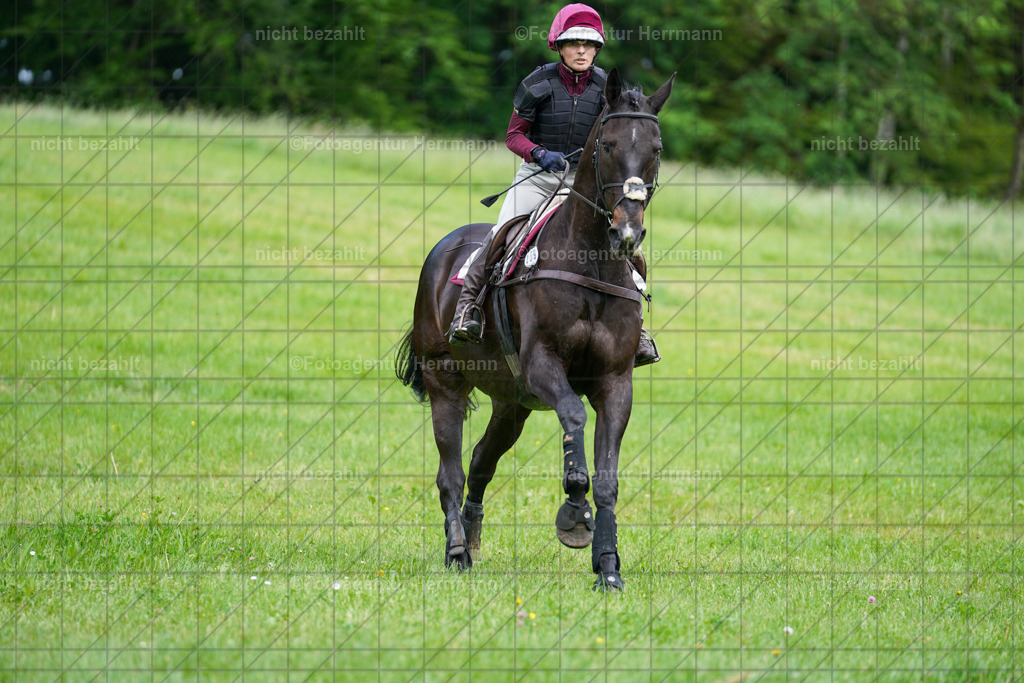 20240518-FAH03825 | Turnierbilder von Niederseon, Turnierfotografen Bayern, Fotoagentur Herrmann, Geländebilder, Reitsportfotografie