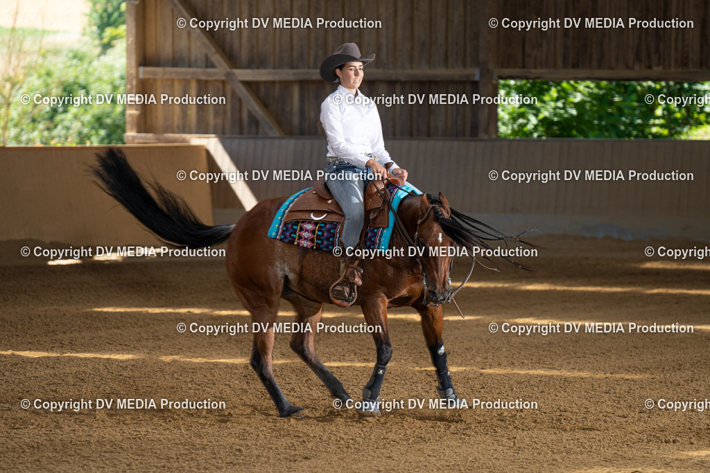 DSC00006-2 | dv-media-shop - Realisiert mit Pictrs.com