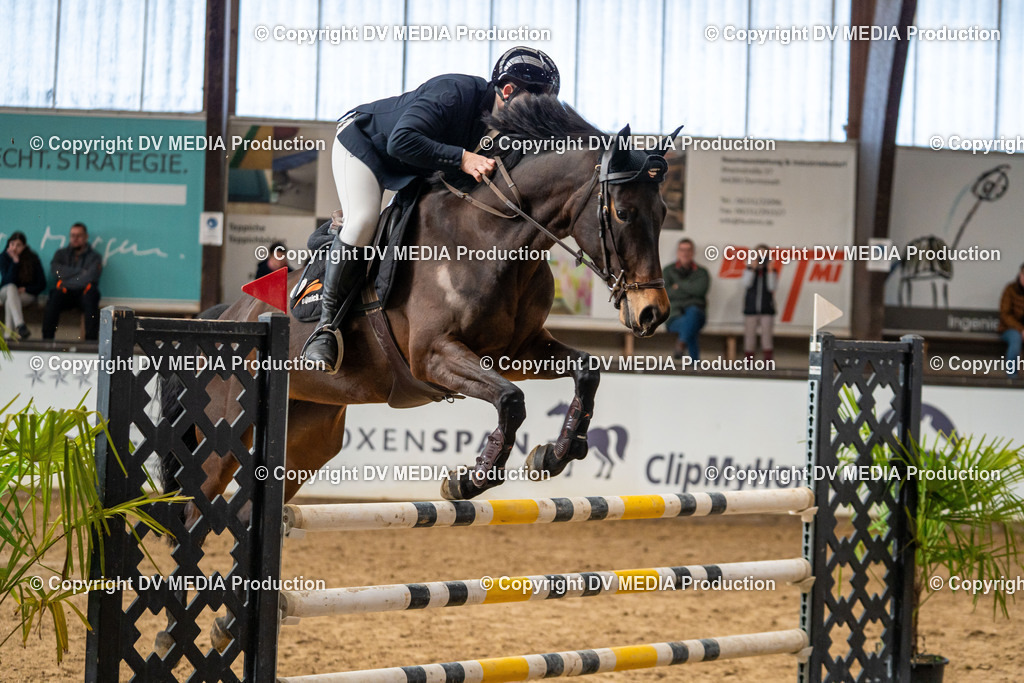 Kranichstein Tag 2-366 | dv-media-shop - Realisiert mit Pictrs.com