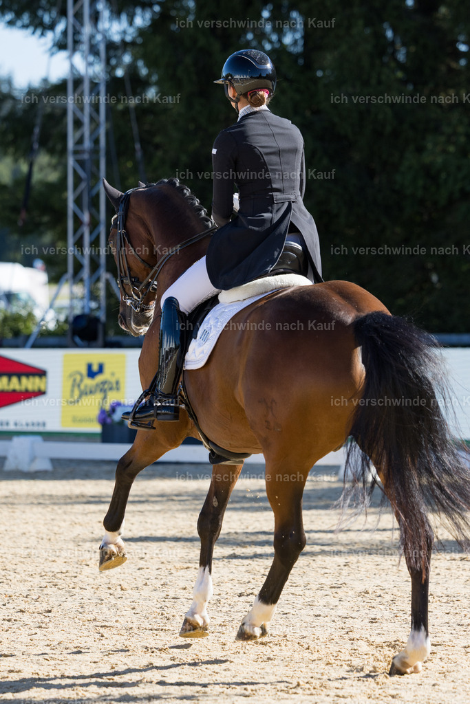 FHC2026_P07_80_17398 | working equitationturnier fotograf videograf stoibphotography marixx film working equitation deutschland reitsport turnierfotografie eventfotografie equestrian events