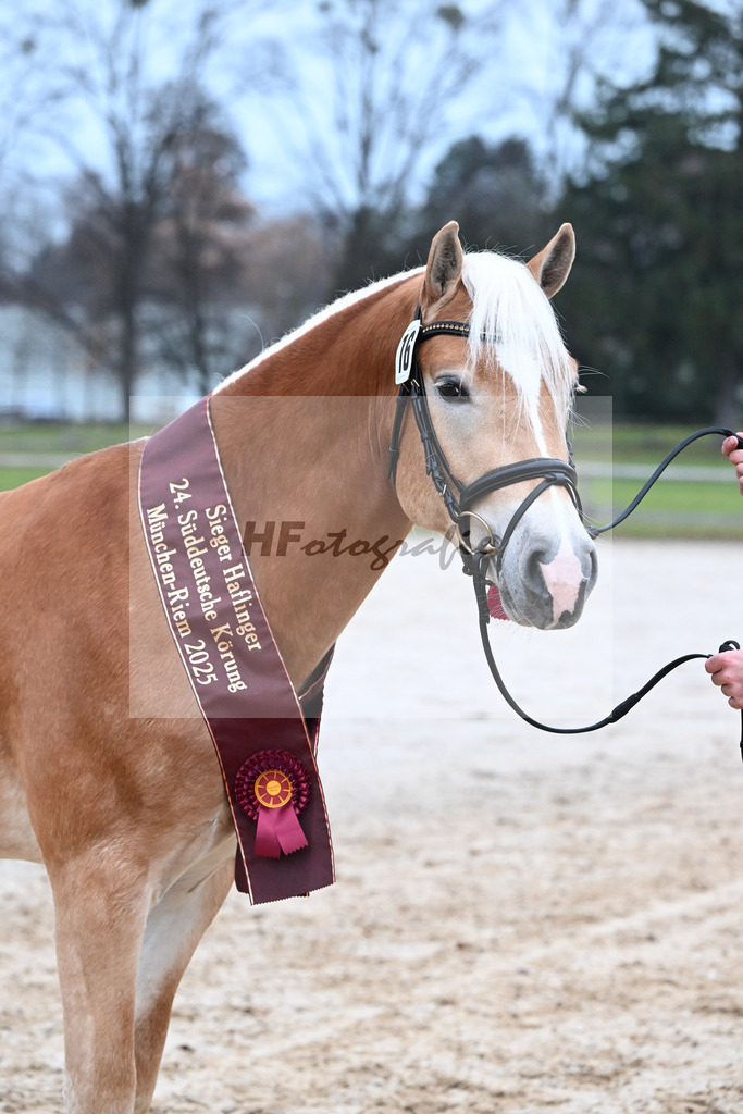 Kat-Nr. 16 nn v. Neustart_Obermeyer_48251866 | hf-fotografie - Realisiert mit Pictrs.com