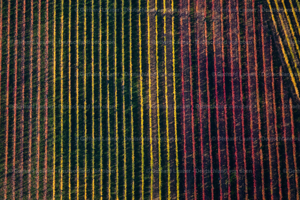 3905285 | Weinberge am Busigberg Großheubach