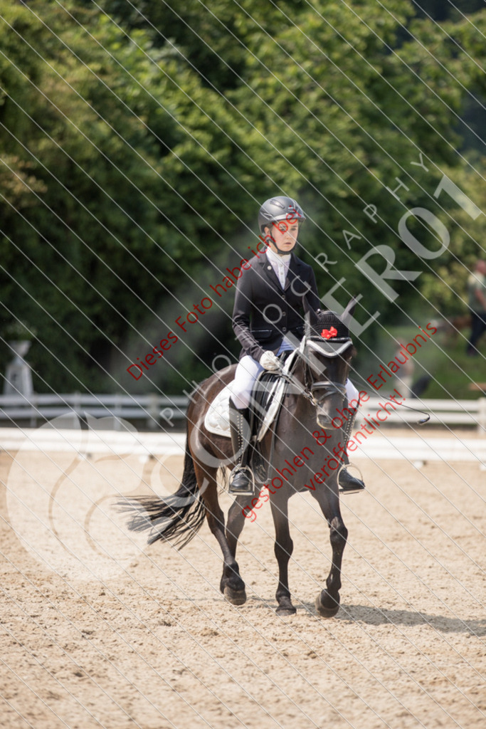 IMG_3464 | Sport-, Event- und Tierfotos in Profiqualität. Einfach auswählen, bestellen und herunterladen. Dein Moment – perfekt festgehalten.