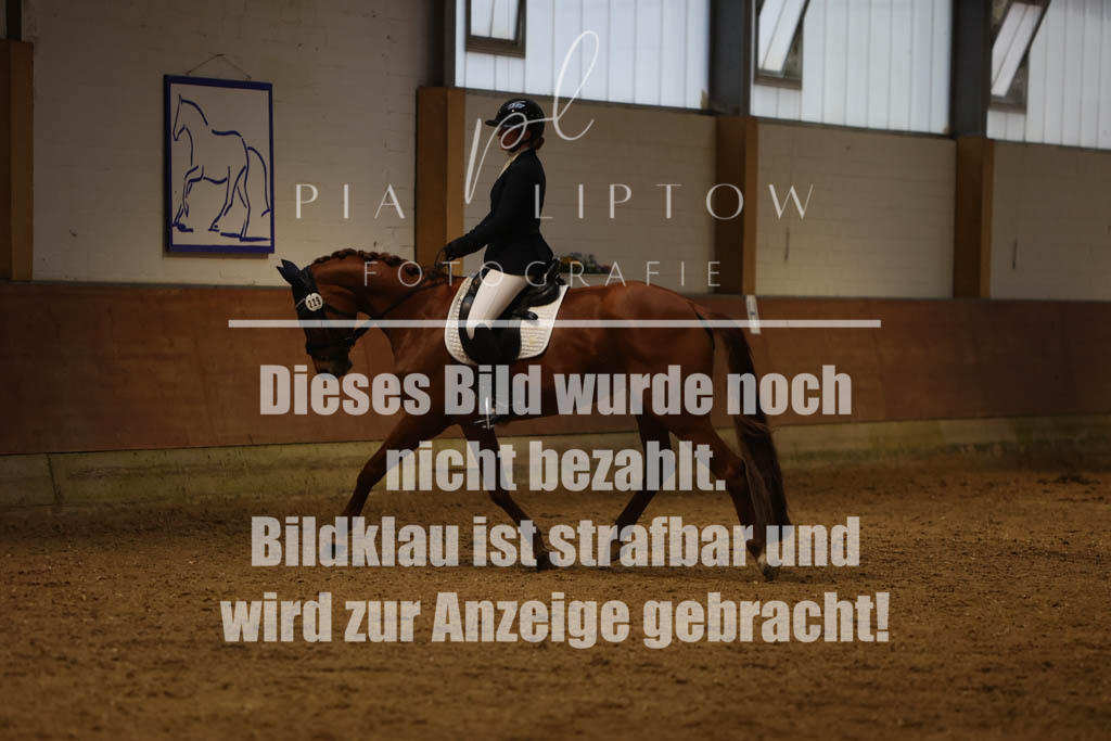 IMGM0493 | pl-fotografie