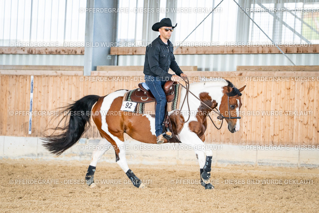 DSC09013 | Pferdegrafie