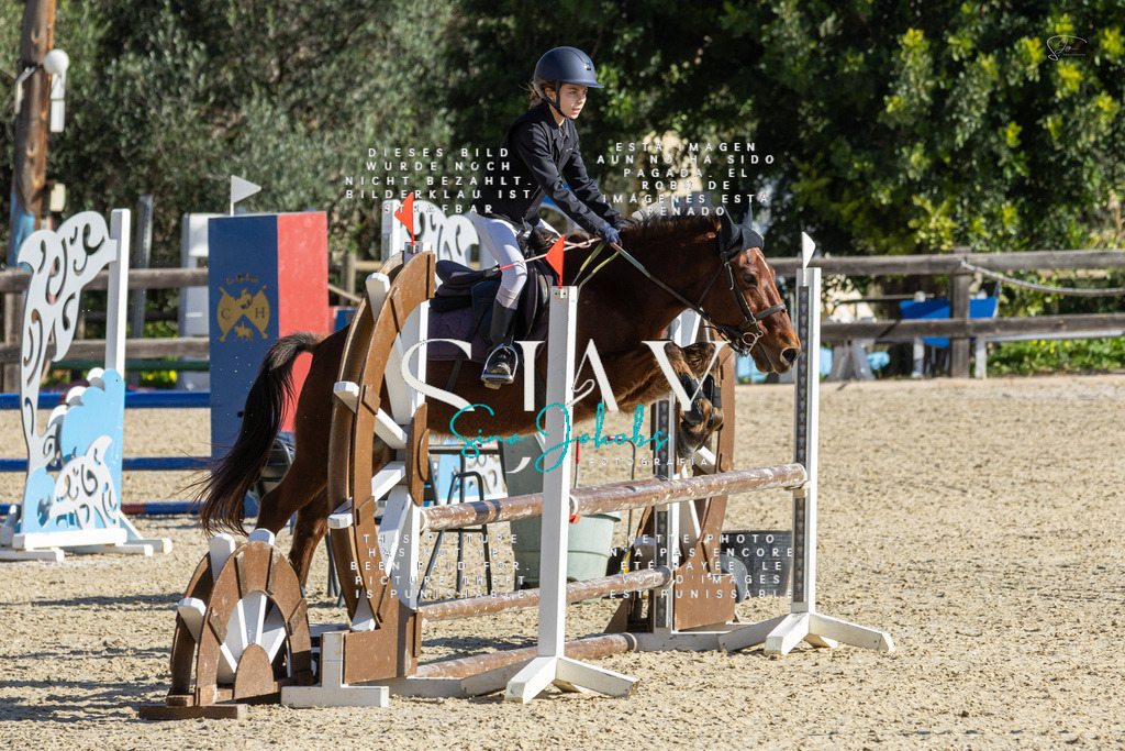 IMG_3605 | s-jay-photography - Realisiert mit Pictrs.com