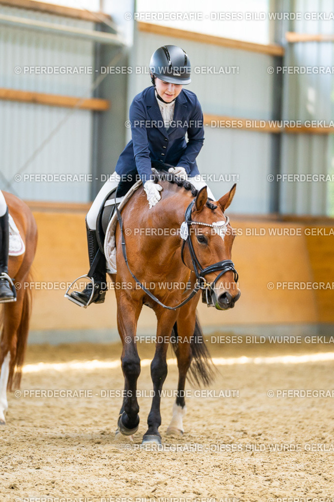 DSC08805 | Pferdegrafie