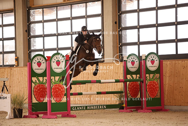 1J2A2611Annkathrin Heydenreich_ Nicole v.d. Woestenheide_ Kn398_ Hohen Wieschendorf_ Glantz | Foto- und Videografie für alles rund ums Pferd. Hochwertige Bilder und Videos vom Spring- und Dressurreiten, Voltigieren & mehr. Jetzt aktuelle Veranstaltungen und Preise im Shop ansehen. - Realisiert mit Pictrs.com