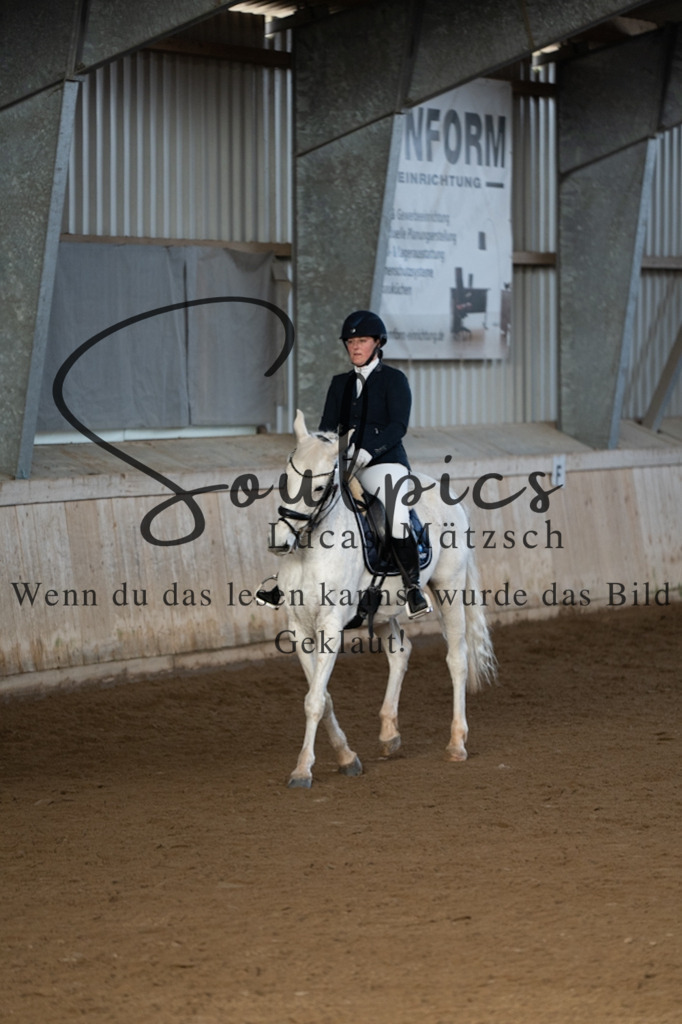 A7V05469 | Pferdefotograf