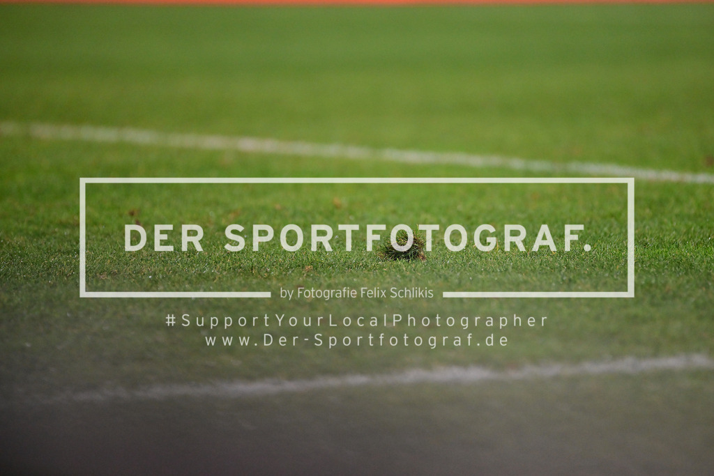 Fußball I Herren I Saison 2025-2026 I Regionalliga Nord I 16. Spieltag I VfB Lübeck - FC St. Pauli II I 04024 | Der Sportfotograf. - Realized with Pictrs.com