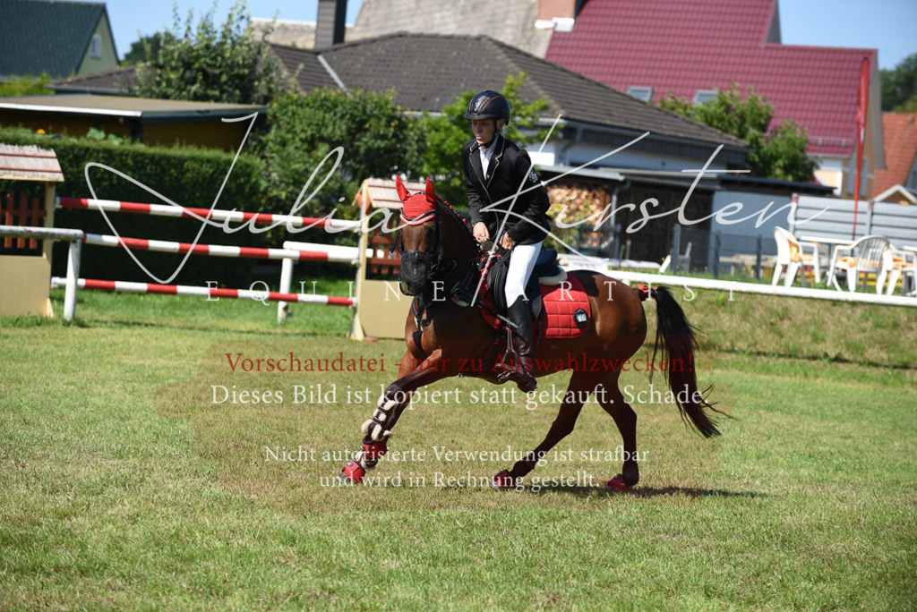 DSC_9263 | Pferde- und Turnierfotografie in Westsachsen. Pferdeportraits, Auftragszeichnungen und intuitive Kunst.