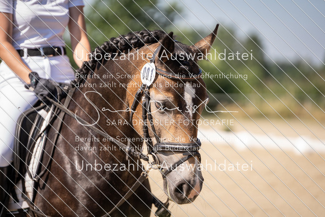 SD_Verl_08810 | saradresslerfotografie - Realisiert mit Pictrs.com
