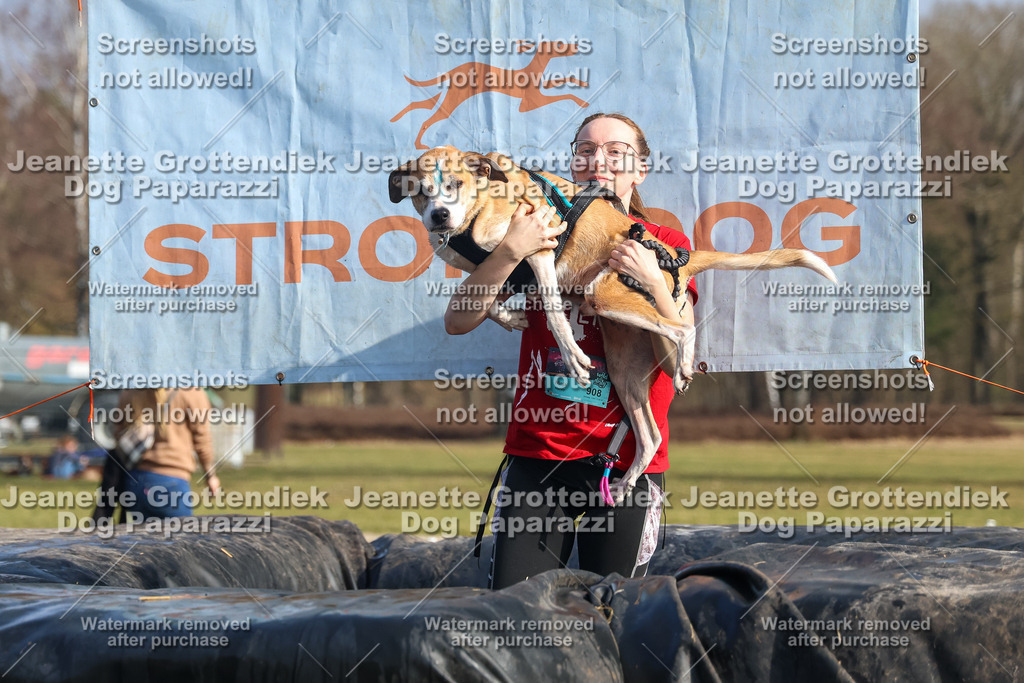 Dog Paparazzi - Strongdog North Mrz26-2567 | Dog Paparazzi Jeanette Grottendiek Fotografie & Videografie - Realisiert mit Pictrs.com