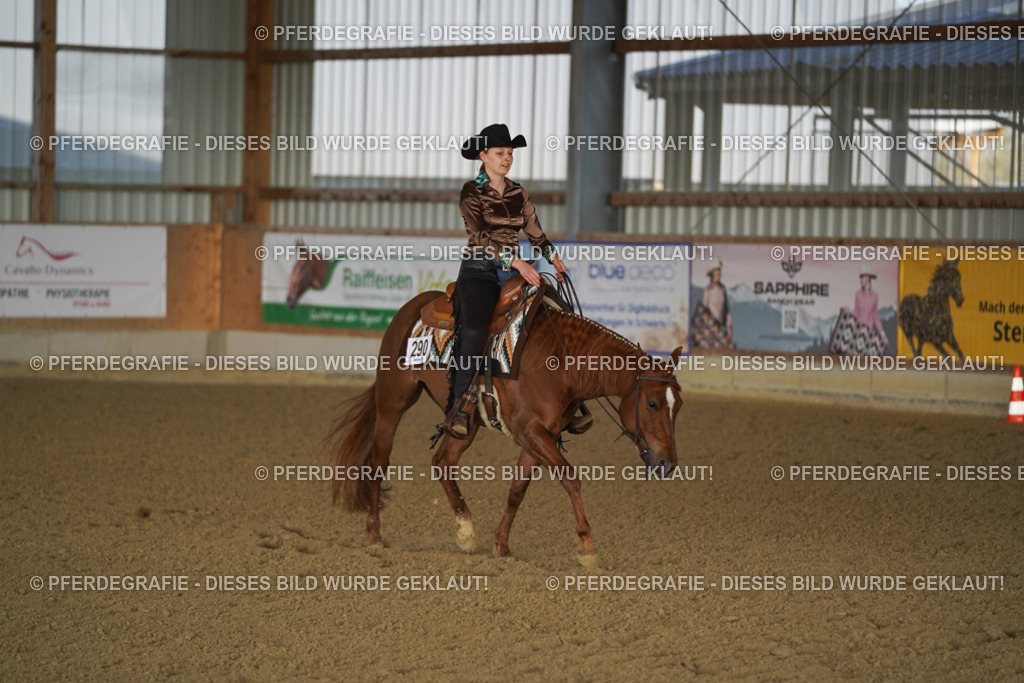 DSC08775 | Pferdegrafie