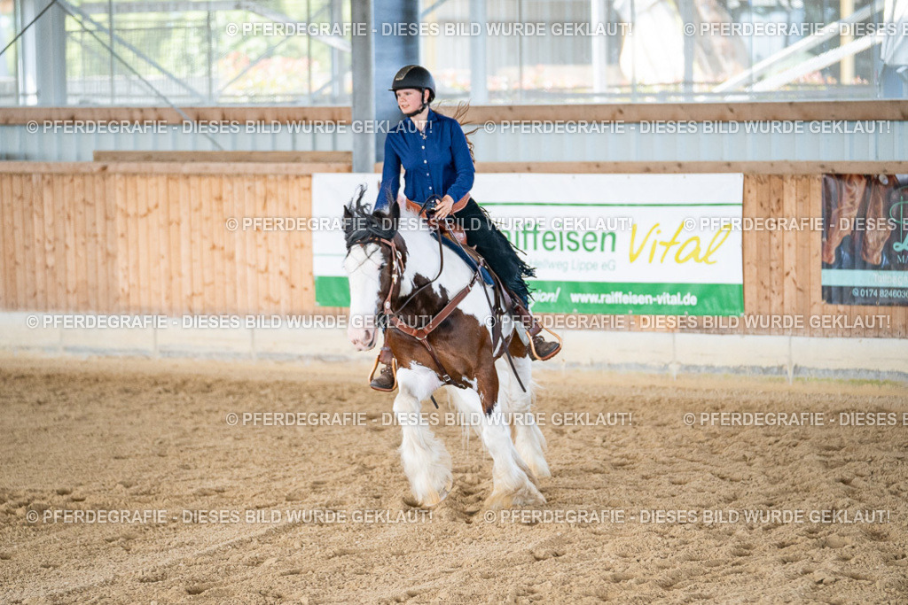 DSC03007 | Pferdegrafie