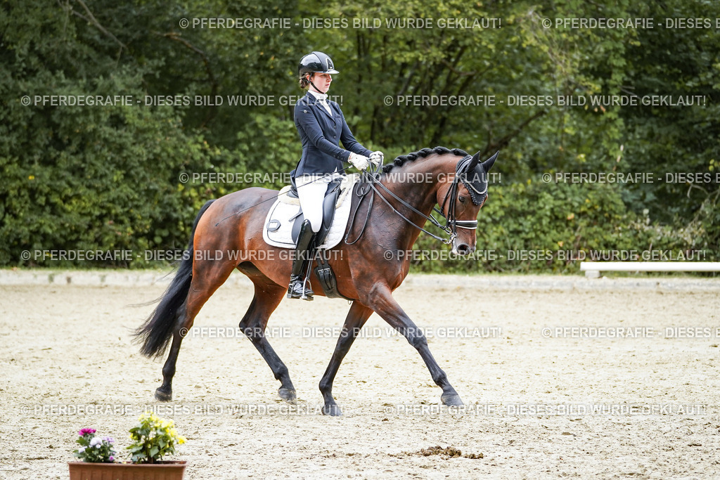 DSC01978 | Pferdegrafie