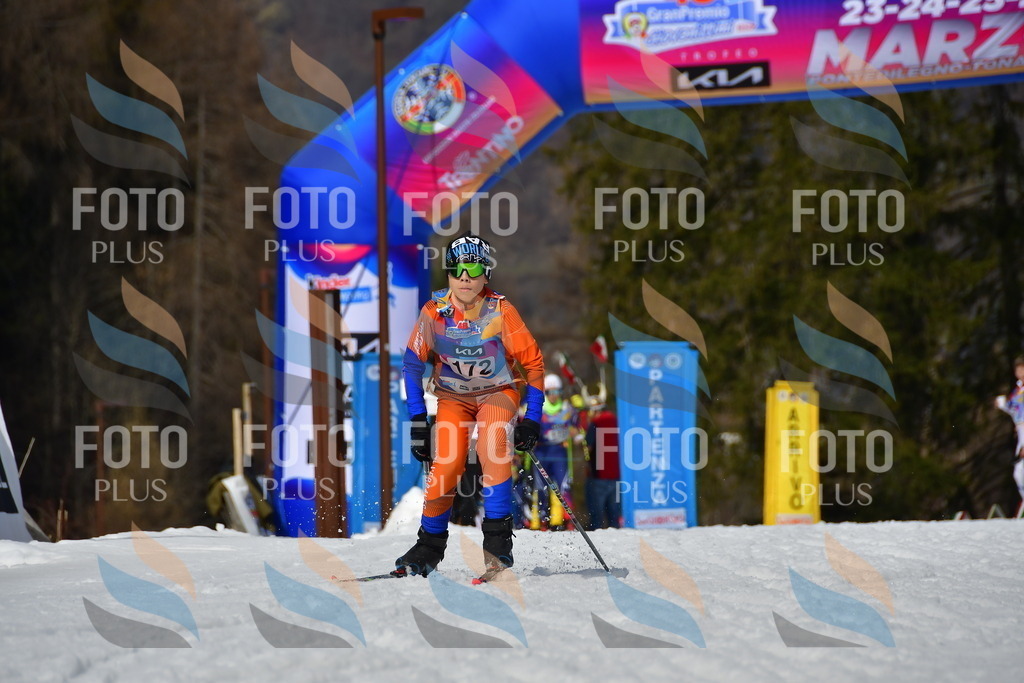 _DSC0619 | holidayphoto