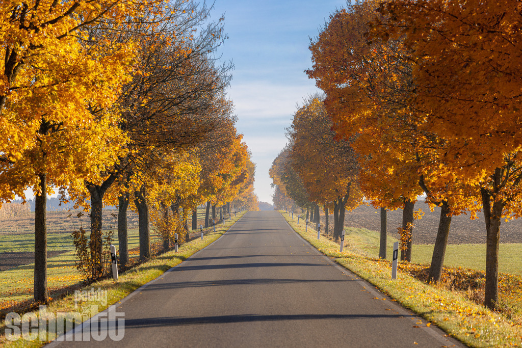 PS-Wege-2026-30 | Entdecke die größte Bildgalerie der Region mit Fotografien aus dem Allgäu, der Bodenseeregion, Oberschwaben, dem Donautal und der Schwäbischen Alb. Landschaften, Luftaufnahmen und Reisefotografie als Wandbild und Fotokunst. - Realisiert mit Pictrs.com