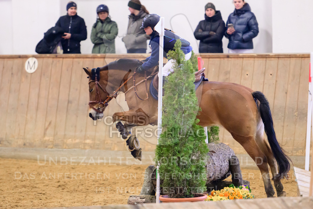29032026-Schwaiganger-Prfg02-1-0417 | Fokus Hufschlag Fotografie - Realisiert mit Pictrs.com