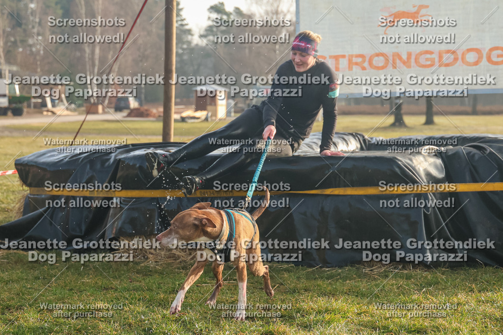 Dog Paparazzi - SD North Sa 830-900-54 | Dog Paparazzi Jeanette Grottendiek Fotografie & Videografie - Realisiert mit Pictrs.com