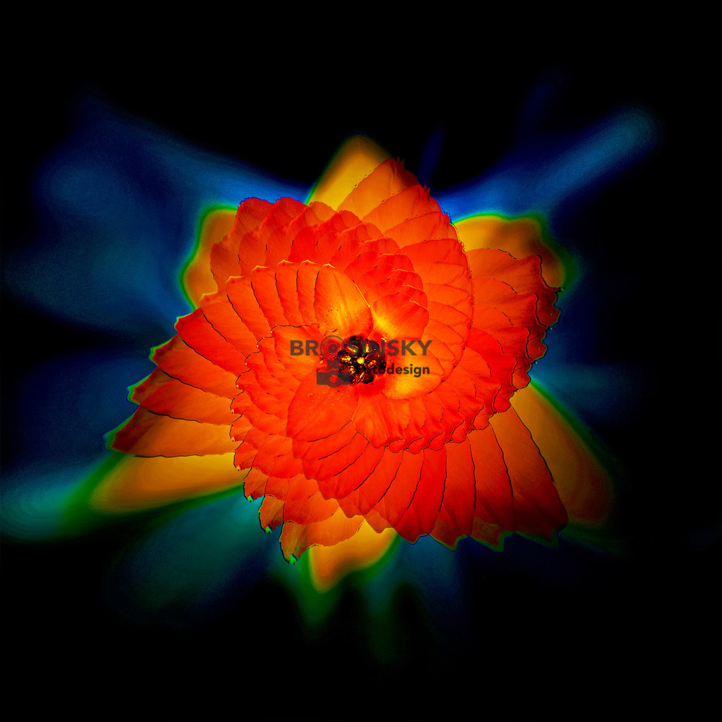 The sign_IMG_9246_2 | brosinskyfotodesign-shop - Realisiert mit Pictrs.com