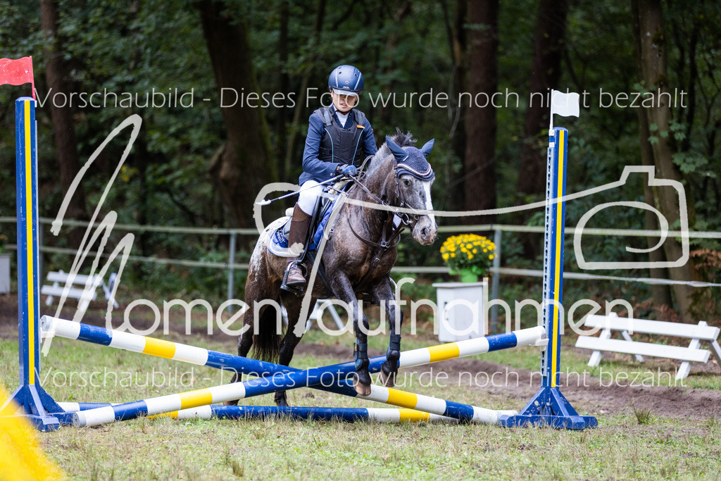 HB-Caprilli-026 | MomenTaufnahmen Pferdesportfotos