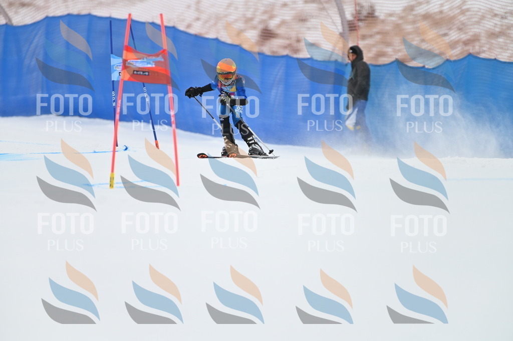 BGV_9676 | holidayphoto