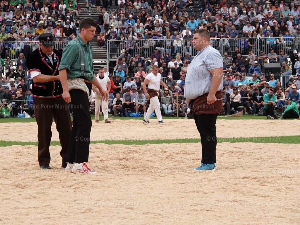 DSC08373 | Schwingen - Realisiert mit Pictrs.com