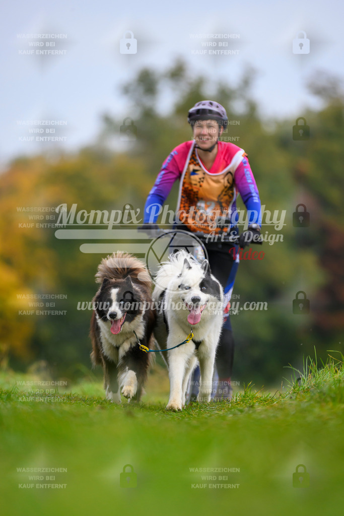 MompixPhotography_CDLBDB2025_DI_DS-38 | PayLife