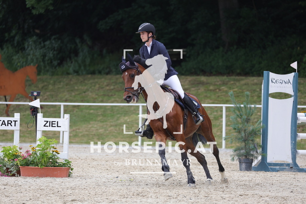 0P6A4454 | Willkommen bei Brunnmayr - Design & Fotografie – Ihrem Spezialisten für Reitturniere und Pferdeveranstaltungen in Oberösterreich, Salzburg und Bayern! Seit über 17 Jahren sind wir leidenschaftlich dabei.