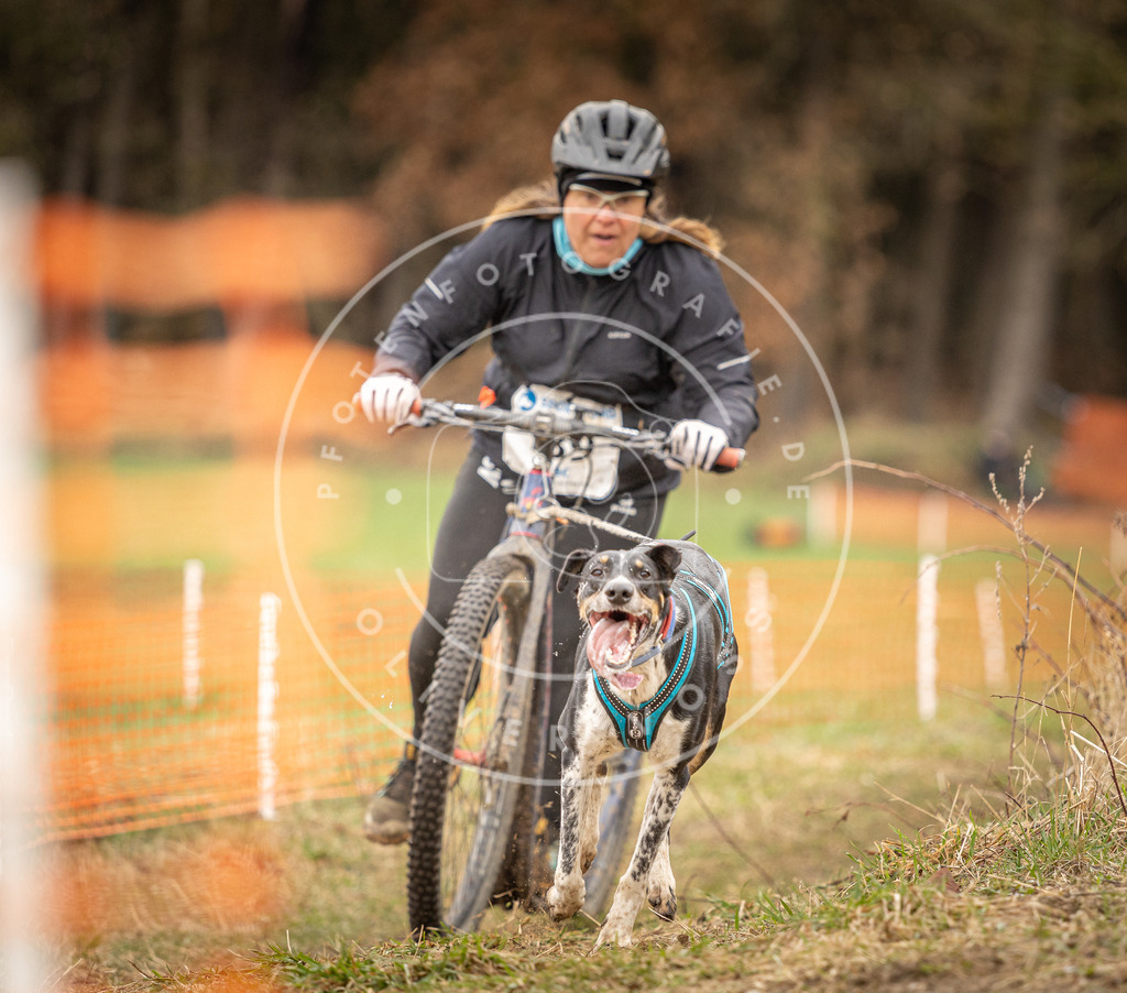 DV3A1504 | Hundefotografie, Tierfotograf, Pfotenfotografie, Fotoshooting Hund, Hunde Portrait, Hundesport, Hundeportraits, Heideshooting, Hunde, Sportfotograf, Hundefotograf, Turnierhundsport, THS,  - Realisiert mit Pictrs.com