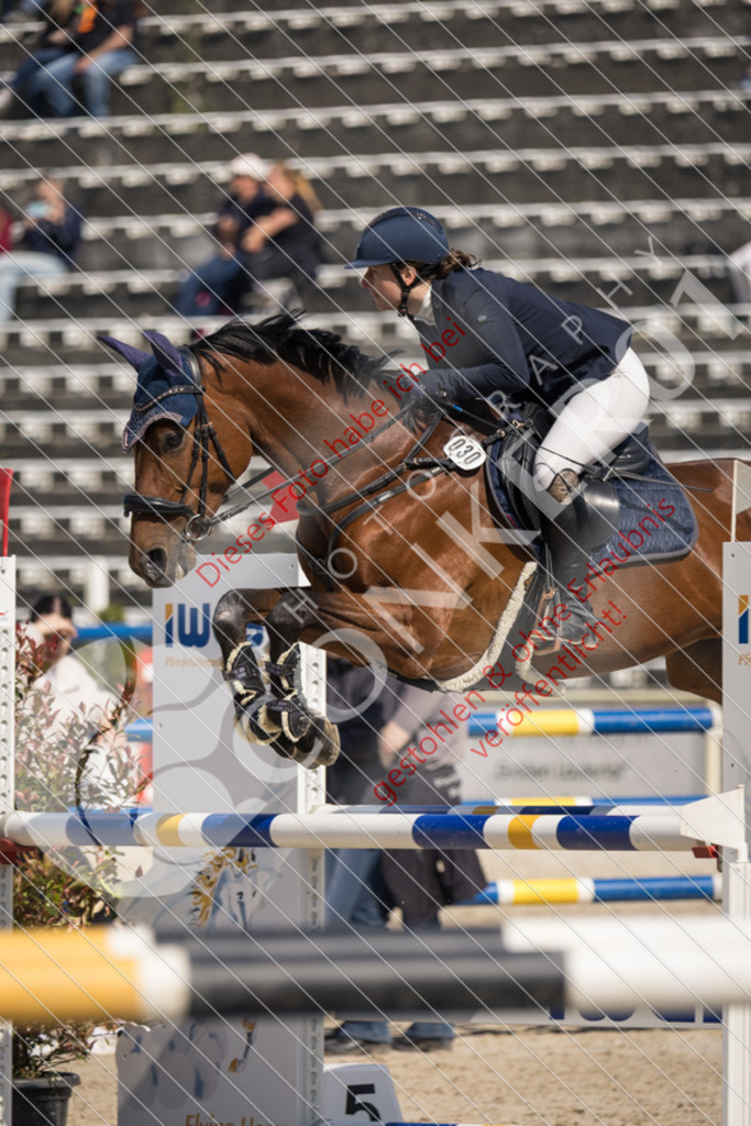IMG_4199 | Sport-, Event- und Tierfotos in Profiqualität. Einfach auswählen, bestellen und herunterladen. Dein Moment – perfekt festgehalten.