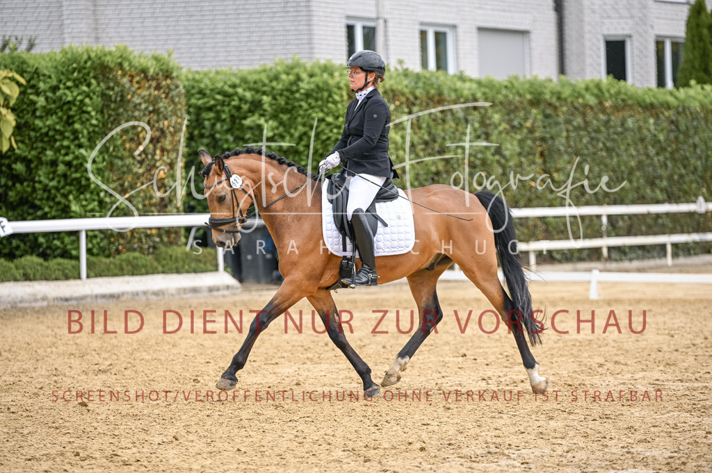 Schugtsche-Aluta25-41.Amat-Dressurprf.A_-602 | Schugtsche Fotografie - Realisiert mit Pictrs.com