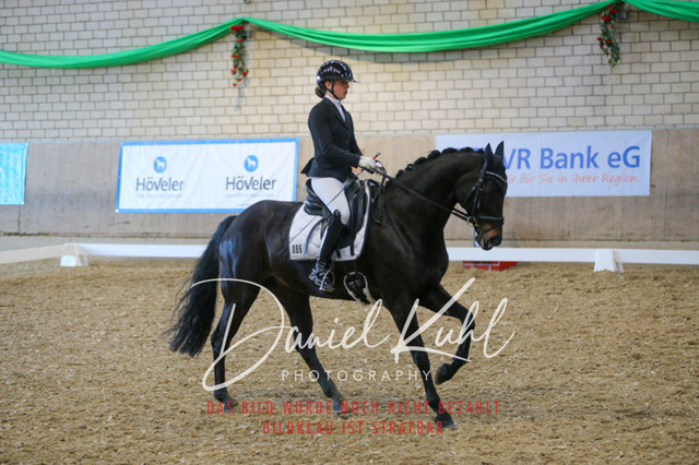 IMG_2928 | Turnierfotos kaufen im Webshop von Daniel Kuhl Photography – entdecke professionelle Reitsportfotos aus Turnieren & Events. Hochwertige Turnierbilder online bestellen & sichern. Jetzt Fotos von Reitsportturnieren kaufen!