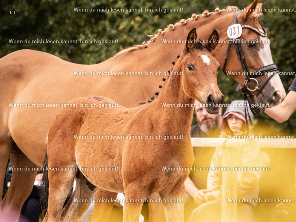 A10I2486 15.54.46 | photographylinaismer - Realisiert mit Pictrs.com